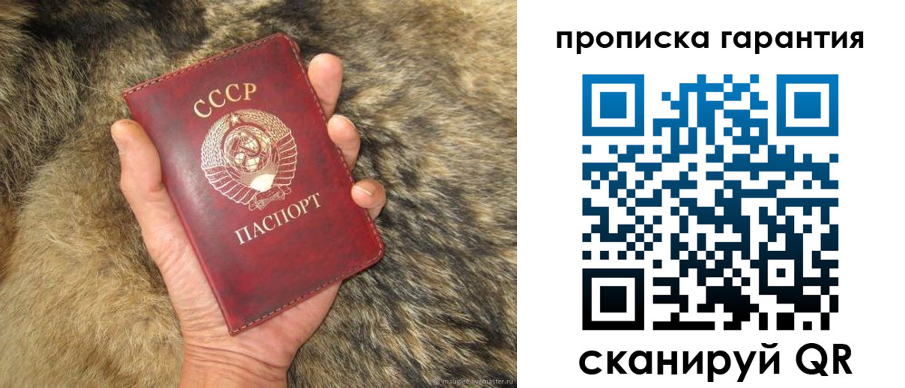 прописка паспорт в Шилке